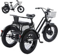 Tricycle électrique cargo 20 pouces, capacité 200 kg, batterie 48V